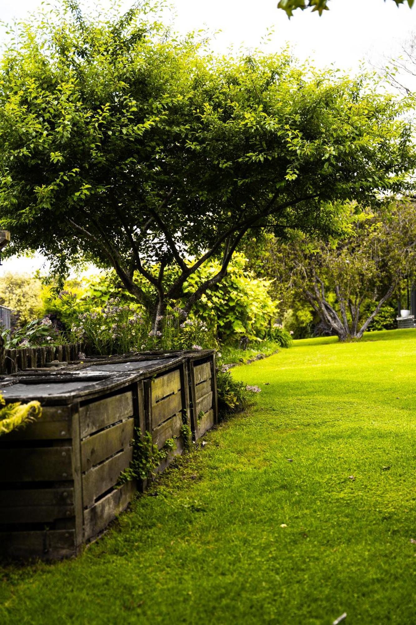 Forest Waters Haruru Exterior photo